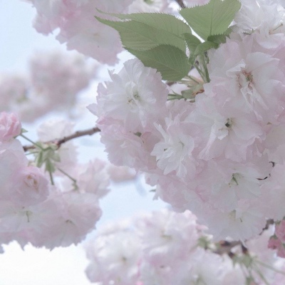 大名FurryQQ群介绍